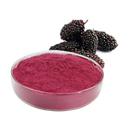 [MUP-11221] Mulberry Powder